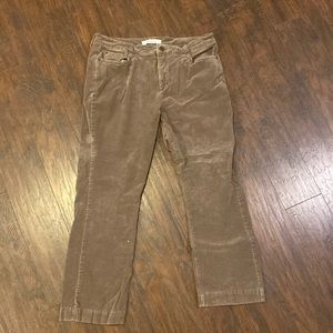 croft&borrow straight leg, size 14, stretchy, brown, velvet feeling jeans